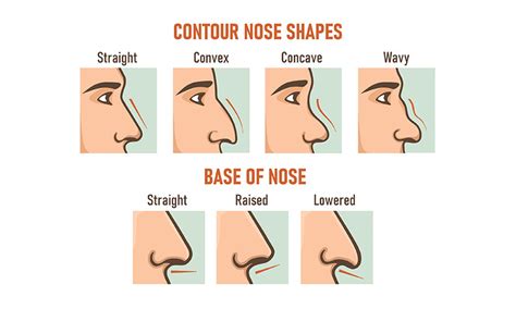 You’ll likely <strong>have</strong> a <strong>nose</strong> bleed and soon find it difficult to breathe through. . What type of nose do i have scanner